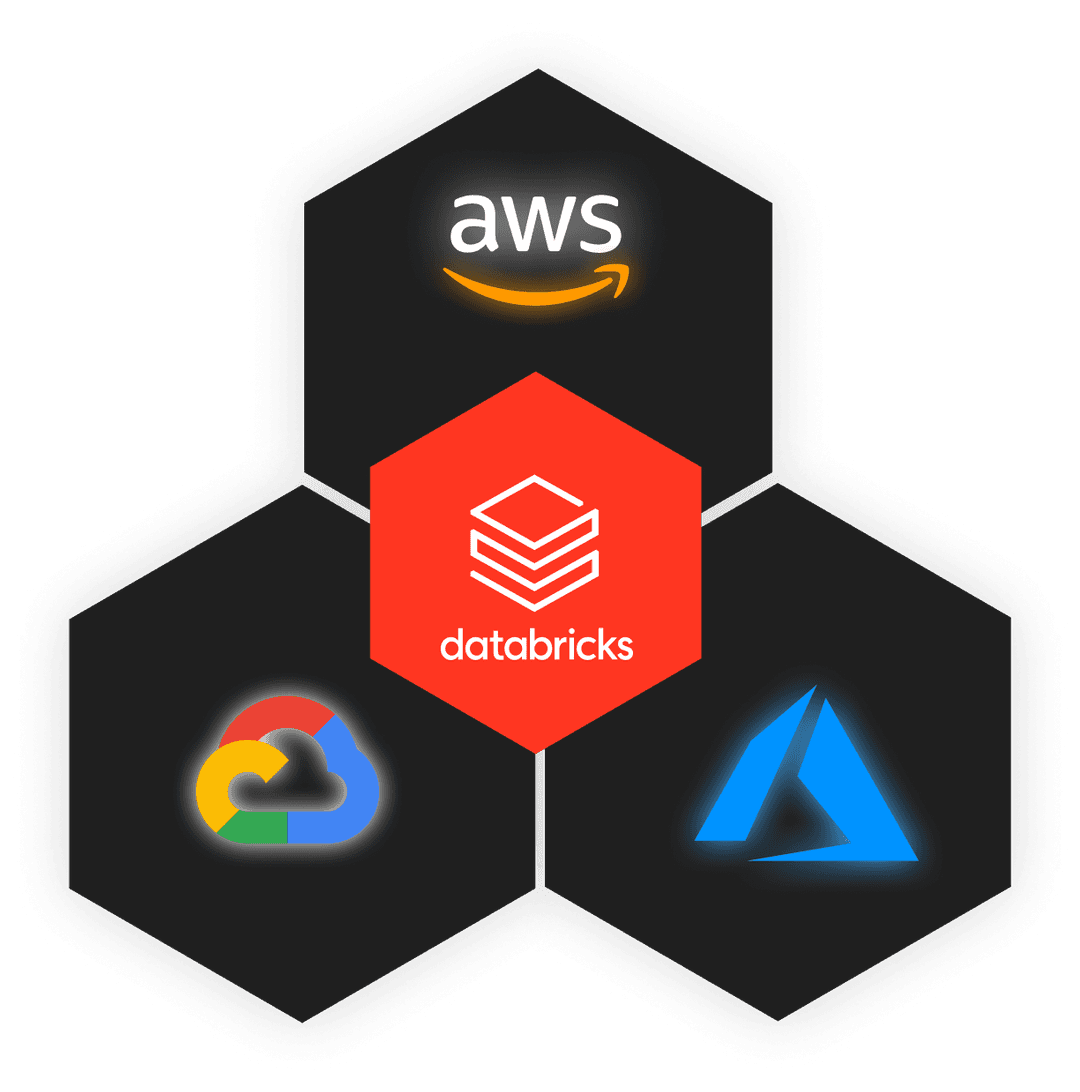 Databricks with Cloud Providers